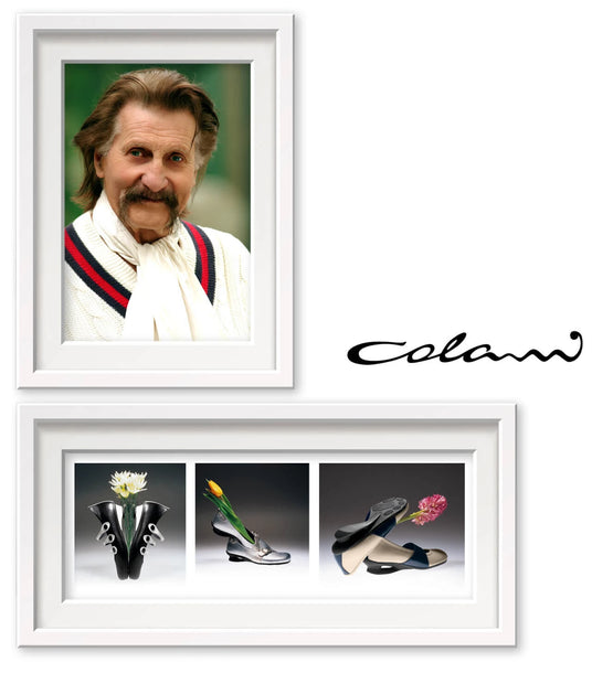 Ein Porträt eines Mannes in einem weißen Rahmen, darunter Designobjekte in einem anderen Rahmen, mit Colani-Logo rechts.