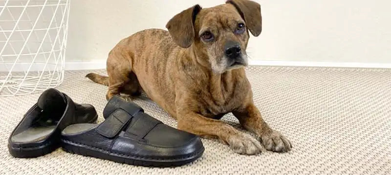 herrenschuhe-anlass-zuhause-img2